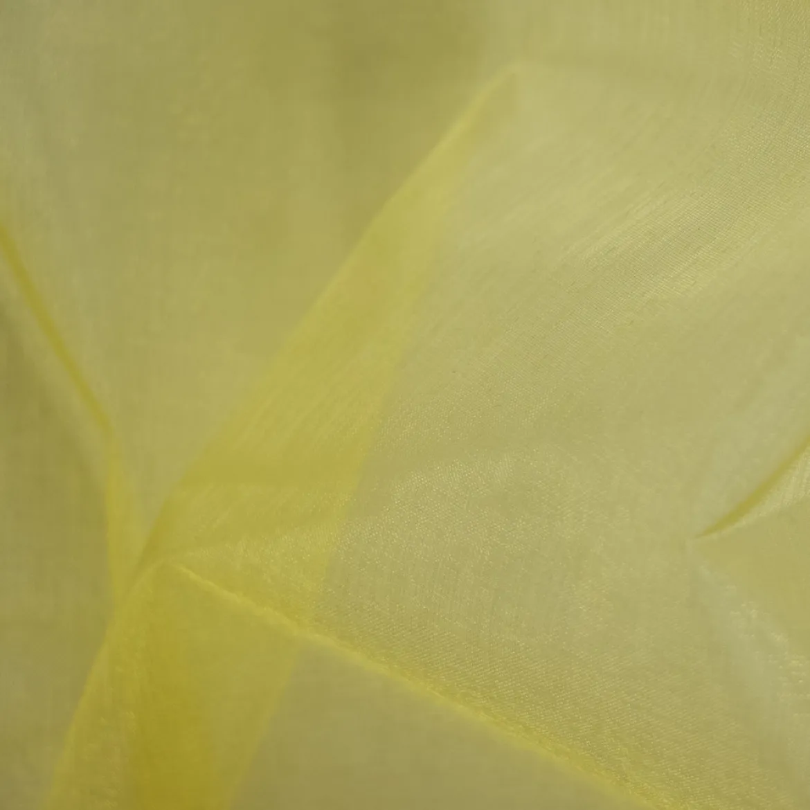 ORGANZA PIER
