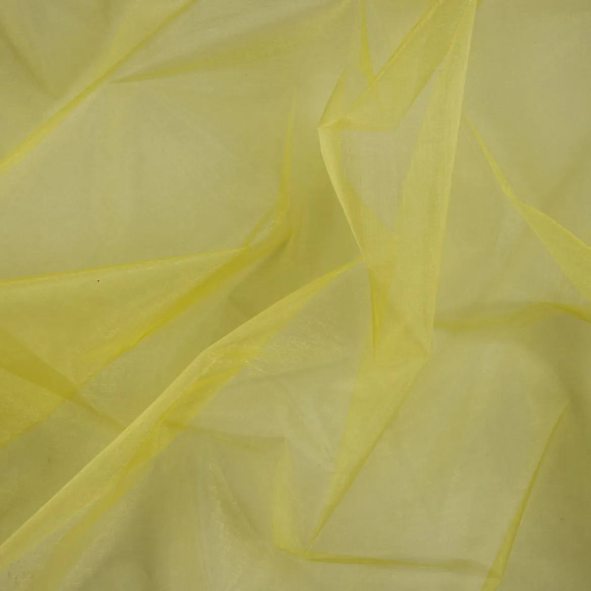 ORGANZA PIER