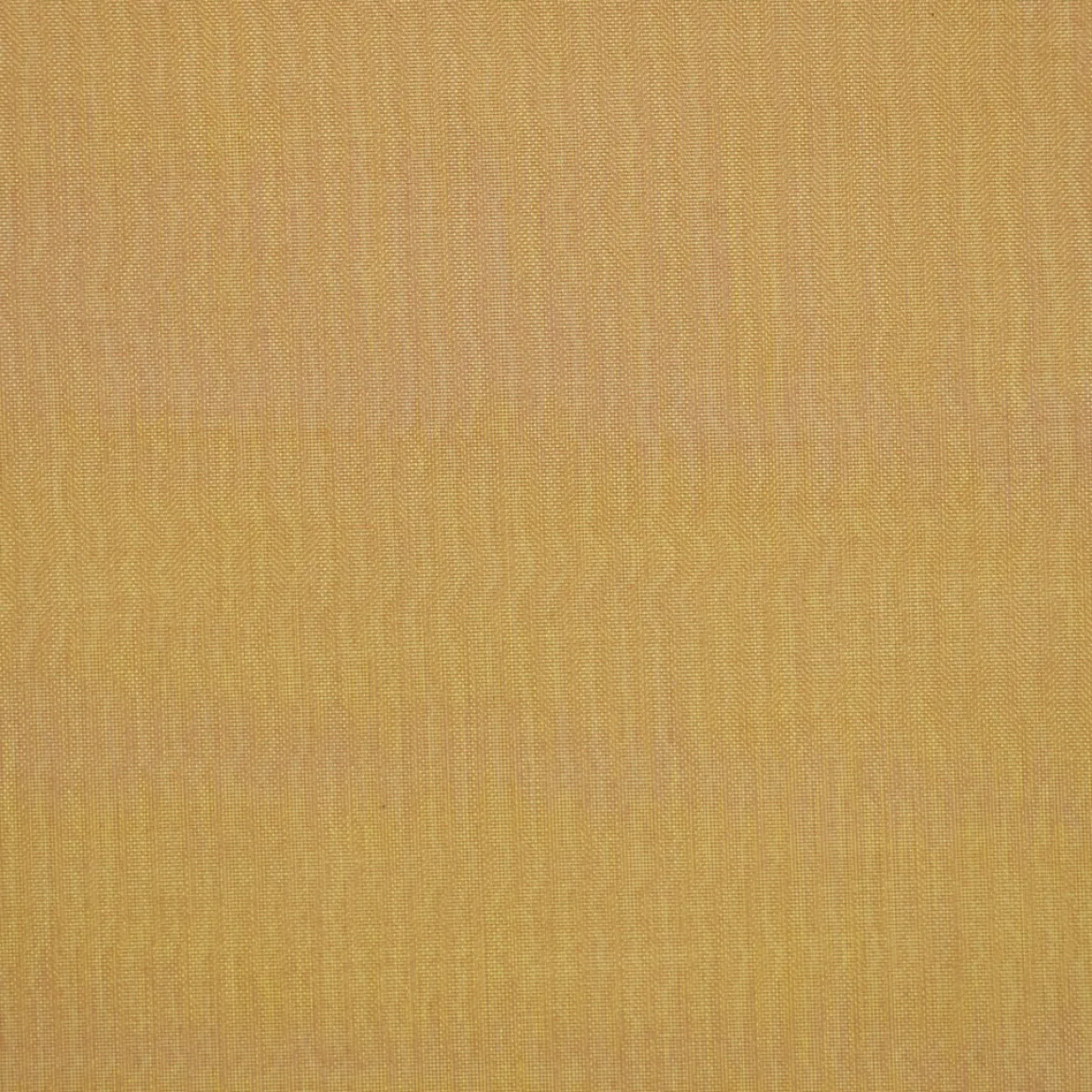 ORGANZA RIGATA PIER