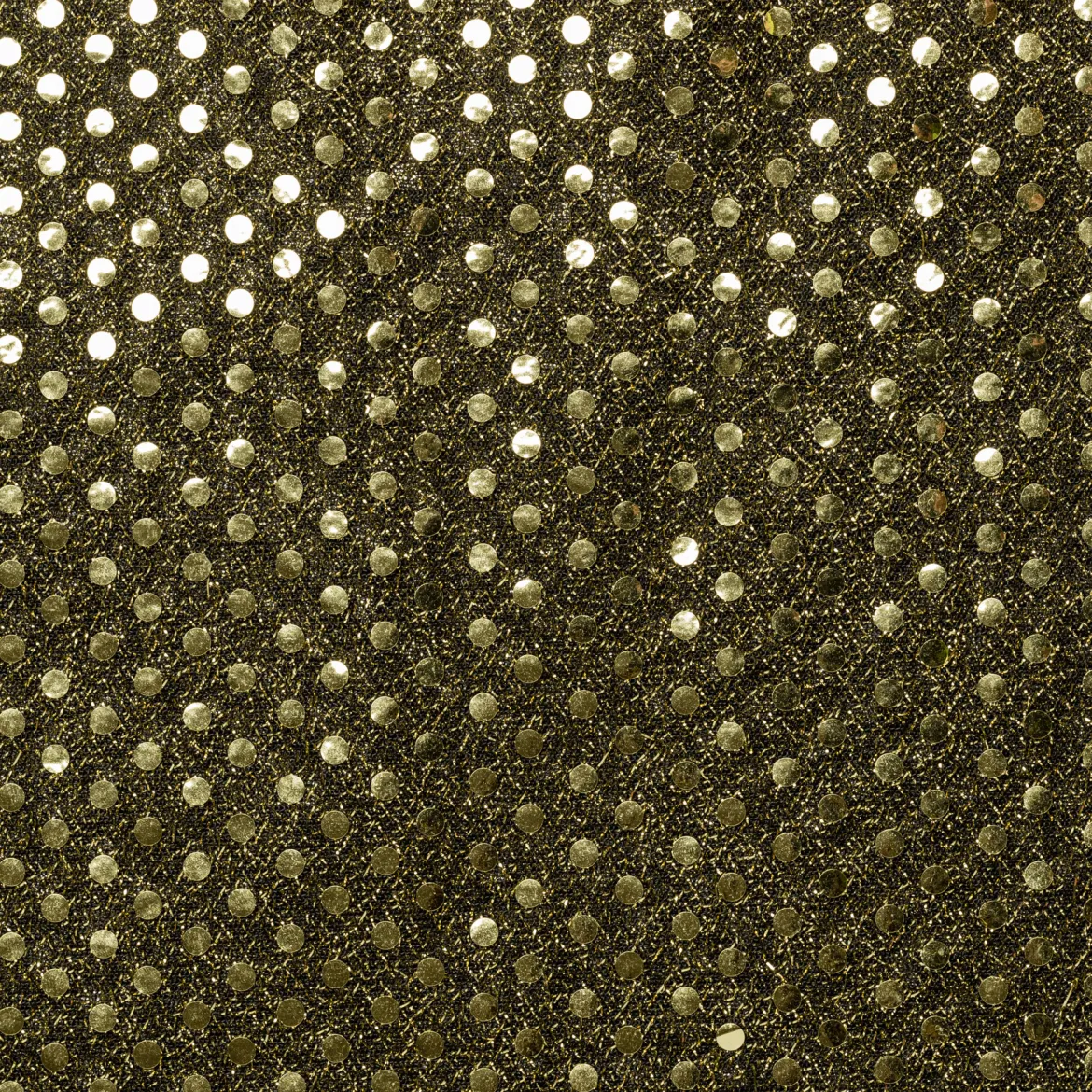 PAILLETTES