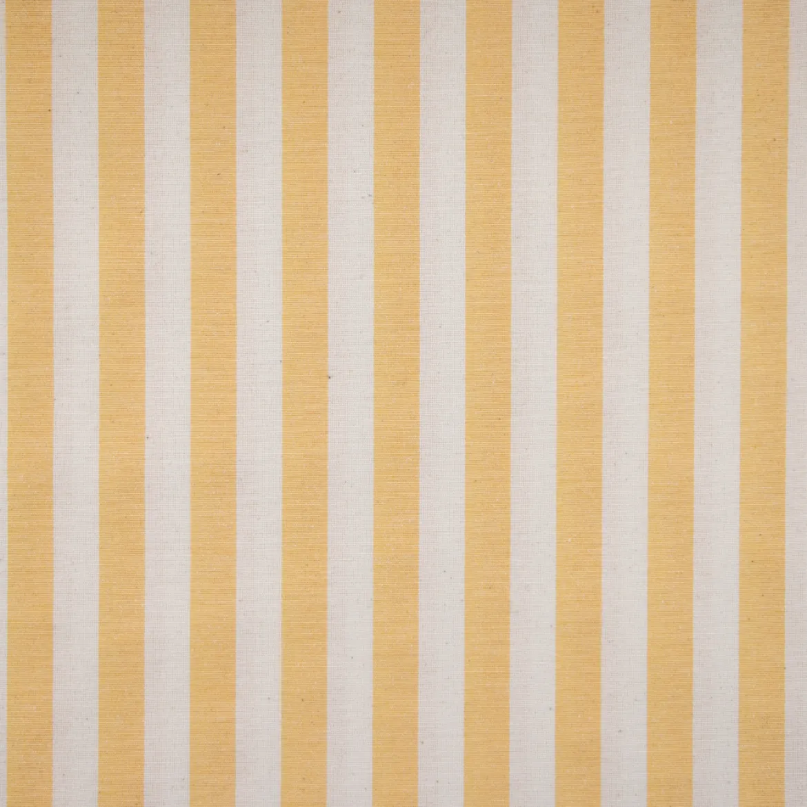 RUSTICO RIGA - 1,50 CM