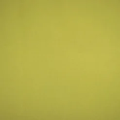 SCUBA